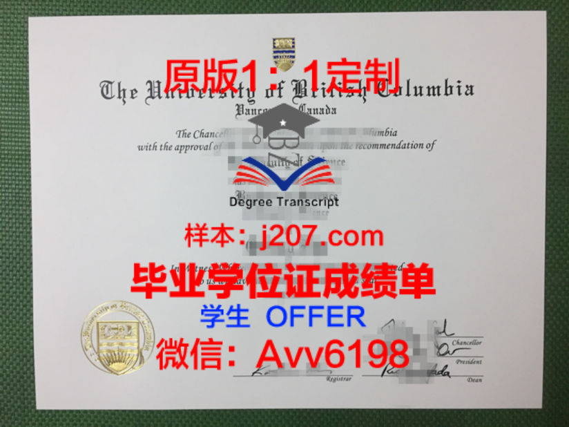 拉维大学位证成绩单:一份极具价值的学术凭证