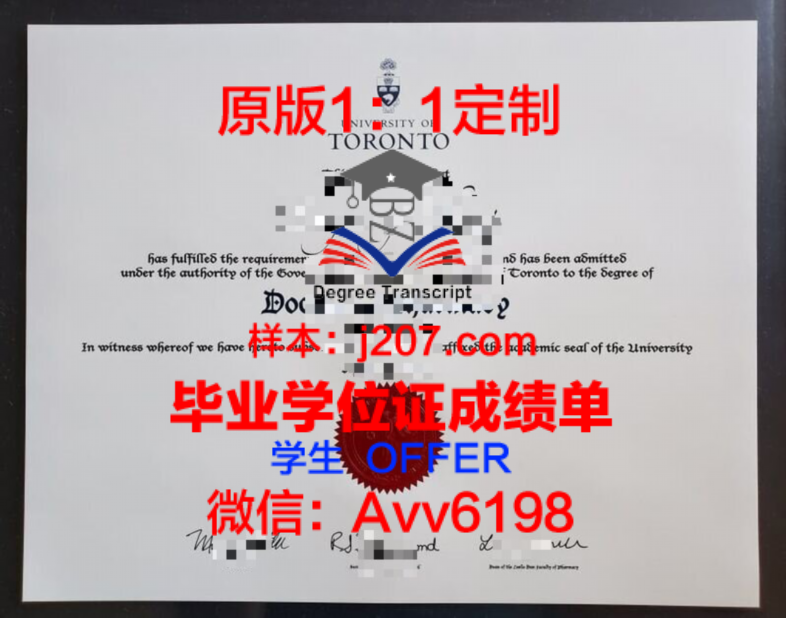 卡塔博士学位证:跨越国界的学术荣耀