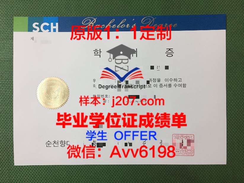 PUSAN TECH博士学位证:开启国际化教育新篇章