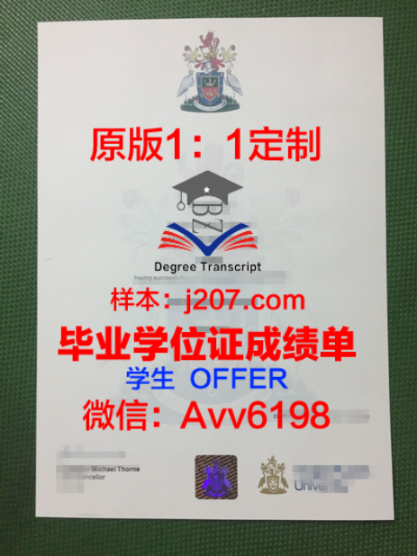 阿纳姆、恩斯赫德与兹沃勒艺术大学学位文凭定制:匠心独运的艺术教育成果