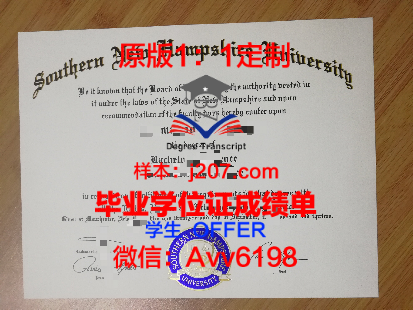 威尼斯美术学院录取通知书 OFFER 定制,揭开梦想成真的神秘面纱