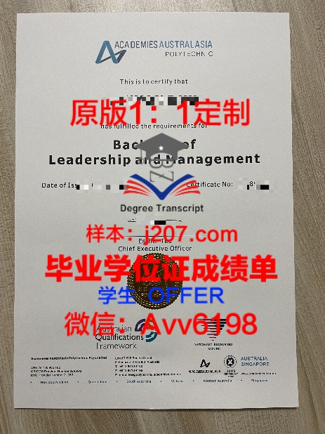 在上海,学位证书能享受哪些政策福利?