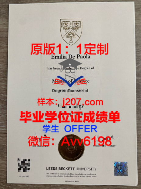 南方比维斯天主教高等专业学院学位文凭定制:专业、严谨、权威