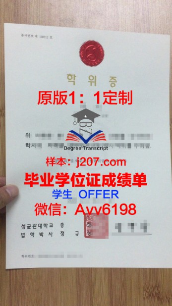Leyden本科学位证:承载历史与学术价值的珍品