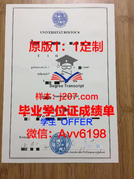 比萨高等师范学院成绩单:一份承载荣誉与梦想的纸笔传奇
