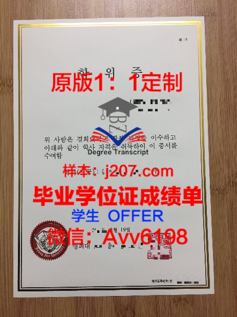 涅维尔斯基国立海事大学毕业证书:开启全球航运领域的金钥匙