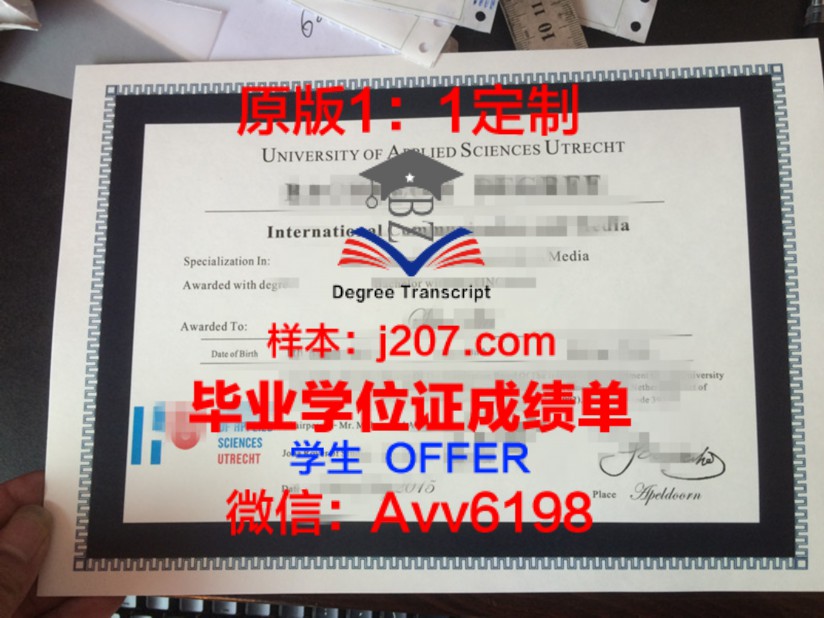 乌尔姆硕士毕业证书图片:承载着德国教育精髓的珍贵记忆