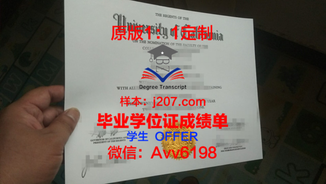 KAIST本科毕业证:一张通往未来的通行证