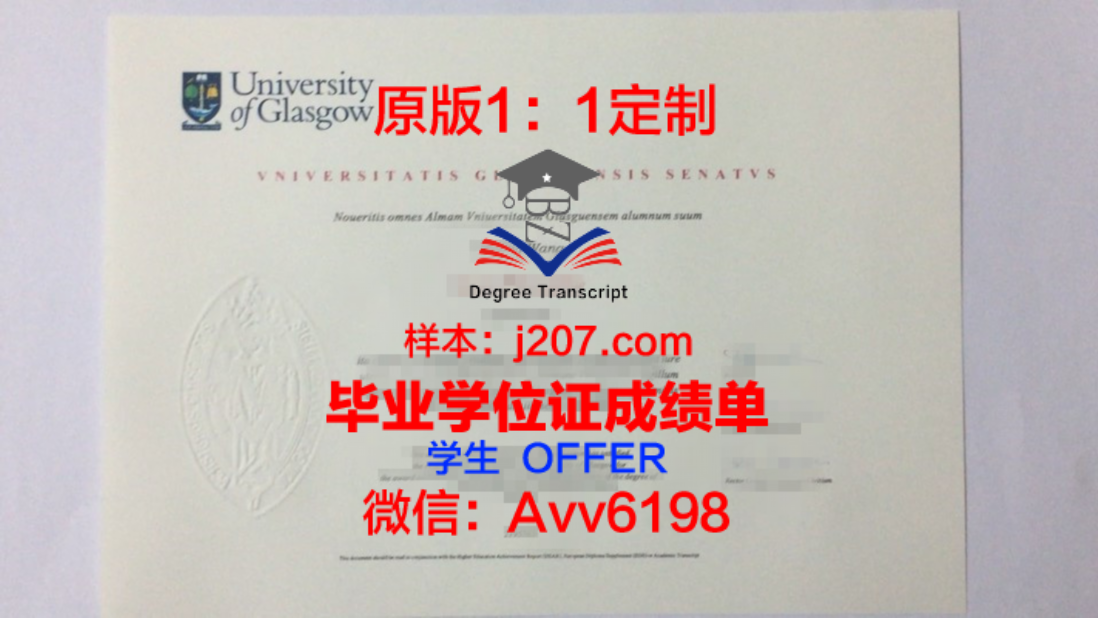 中央原著学位划分:探析其内涵与价值