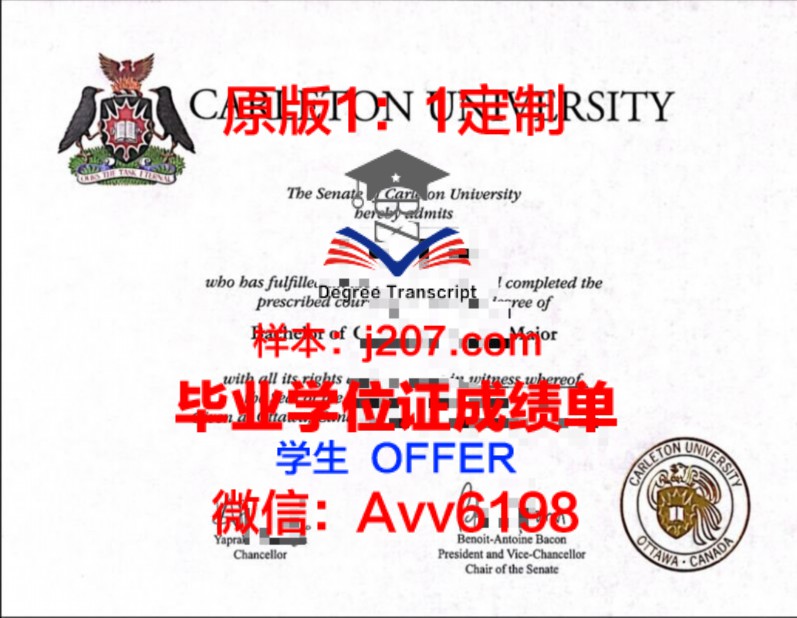 USJ本科学位证:开启国际化教育新篇章