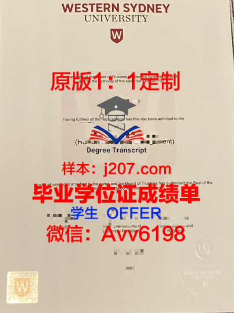 中文专业博士点:传承与创新中的学术探索