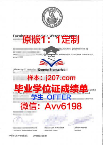 国际经济与贸易博士:引领学科发展,服务国家战略