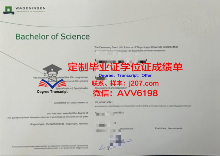 E大硕士毕业证:一张纸背后的故事与价值