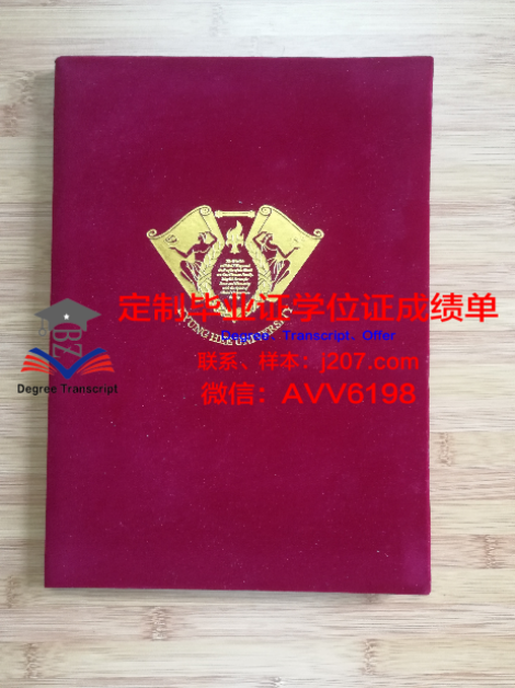 博士国家奖学金证书含金量:一份荣耀与实力的证明