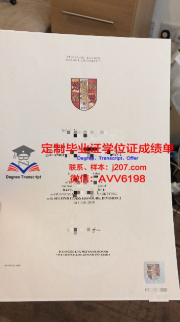 专门学校动漫艺术学院毕业证(动漫毕业照)