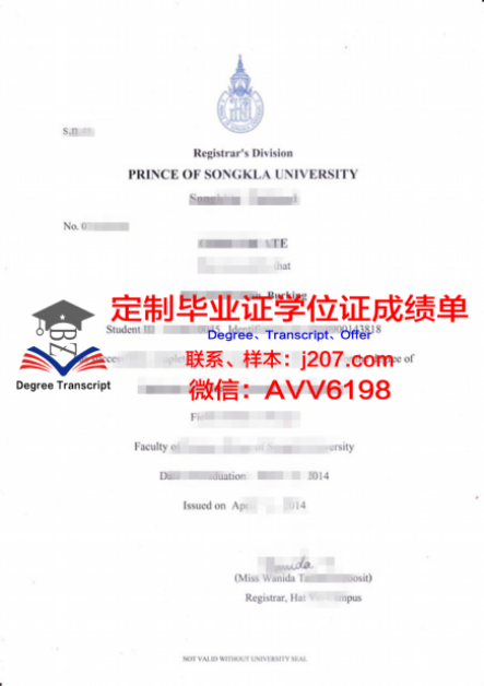 中佛罗里达大学毕业证样本(佛罗里达大学中国学生多吗)