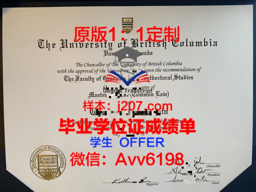 九工成绩单:揭示职场能力与发展潜力的重要工具