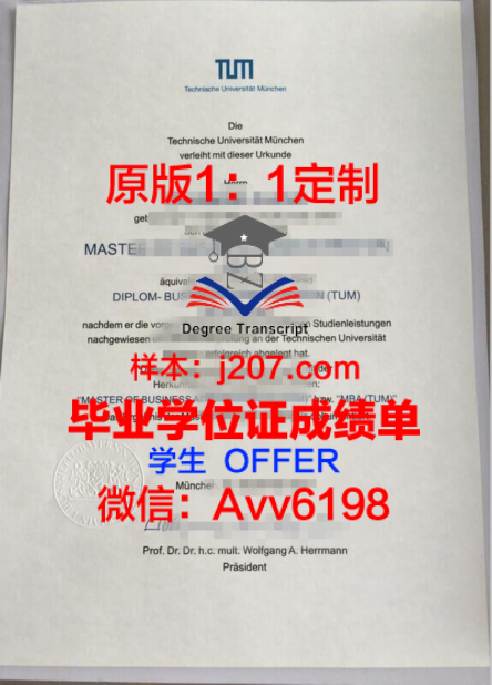 佛罗里达大学博士学费解析:全额奖学金助力学术梦想