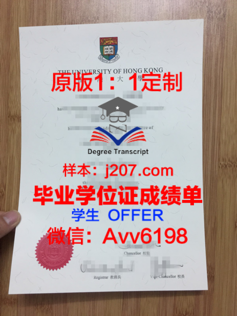 芬兰留学博士:探索北欧学术天堂的奥秘