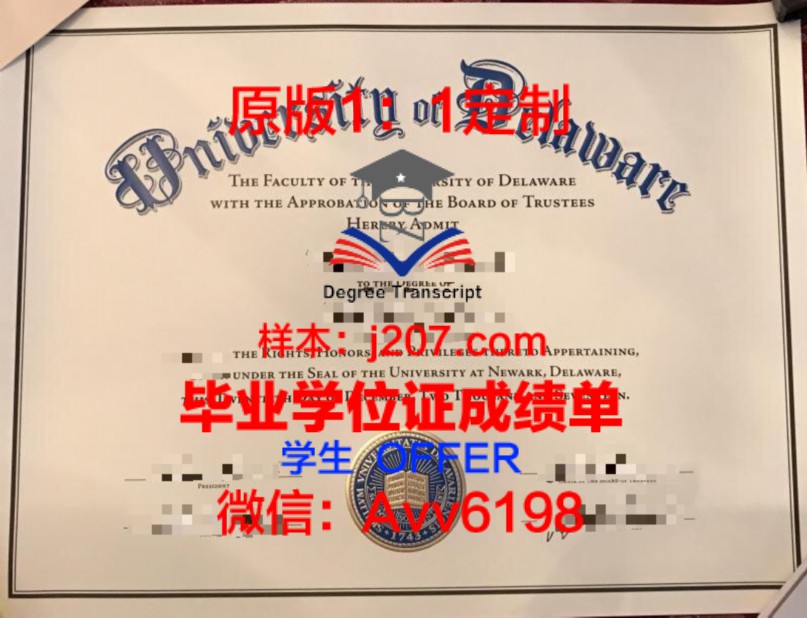 AUO成绩单:展现教育成果的数字化利器