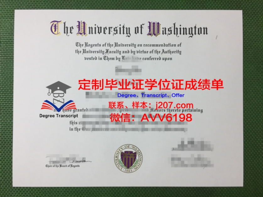 工艺美术本科毕业:探寻学位背后的价值与意义
