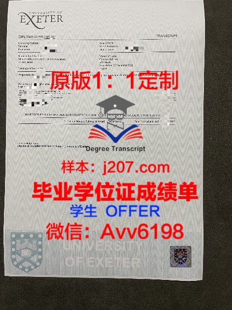 法兰克福造型艺术学院博士学位证:一份国际认可的学术荣誉