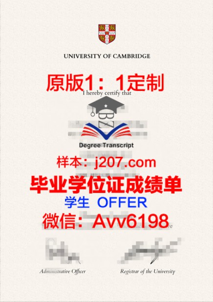 东北大学远程教育怎么样——培养应用型人才的新模式