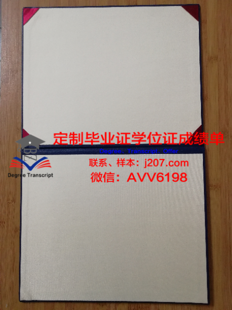 都柏林理工学院学位成绩单定制:探索学术诚信与教育公平的边界