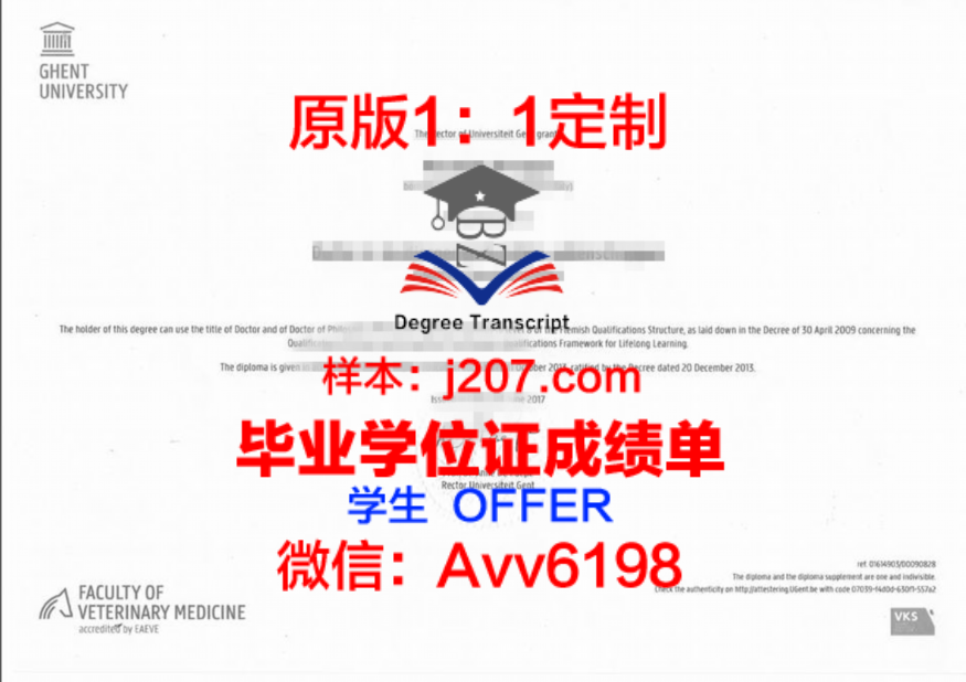 共女校录取通知书 OFFER 定制:量身打造的教育新篇章