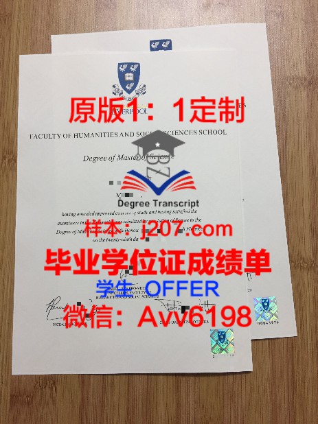 博士评高级:学术追求与职业发展的新高度
