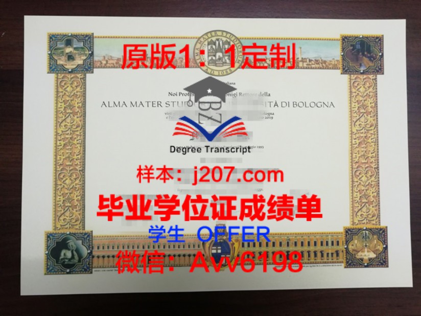 华中科技大学学位证图片:承载荣誉与梦想的象征