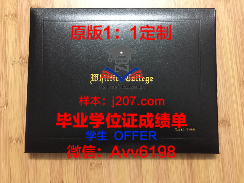 拉丁美洲社会科学院(FLACSO)博士毕业证:一份跨学科研究的新起点
