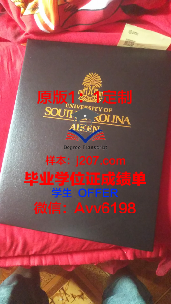 俄罗斯艺术科学院圣彼得堡国立列宾美术学院毕业证书:一份写实主义艺术殿堂的荣誉见证