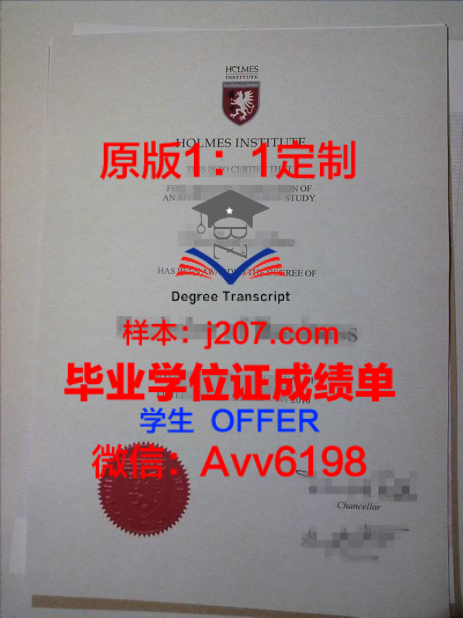 UP学位文凭定制:个性化教育的创新实践