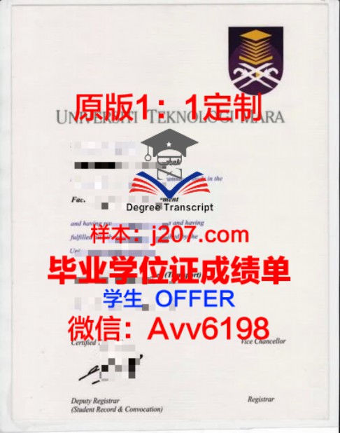 ITS学位证定制:专业、精准、个性化服务