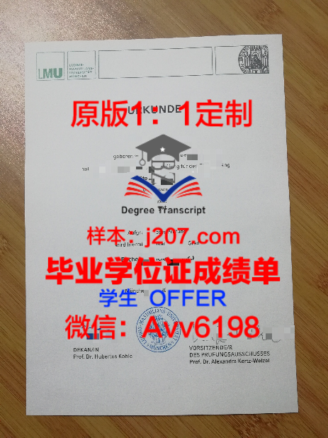 GT硕士学位证:开启全球科技领域的金钥匙