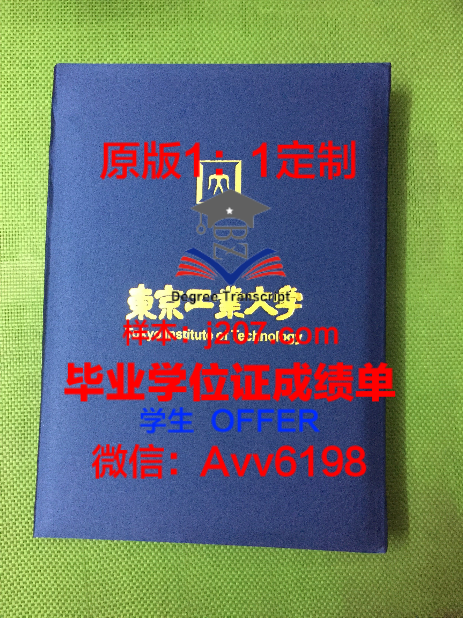 MITO毕业证成绩单：职业教育的璀璨明珠