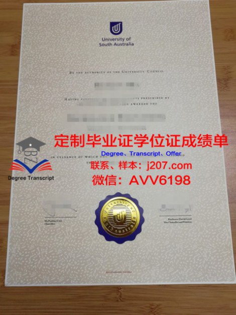 南佛罗里达大学:培养未来科研领军人物的摇篮