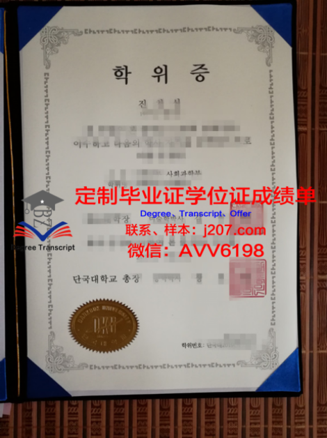 阿米喀布尔理工大学录取通知书 OFFER 定制:开启梦想之旅