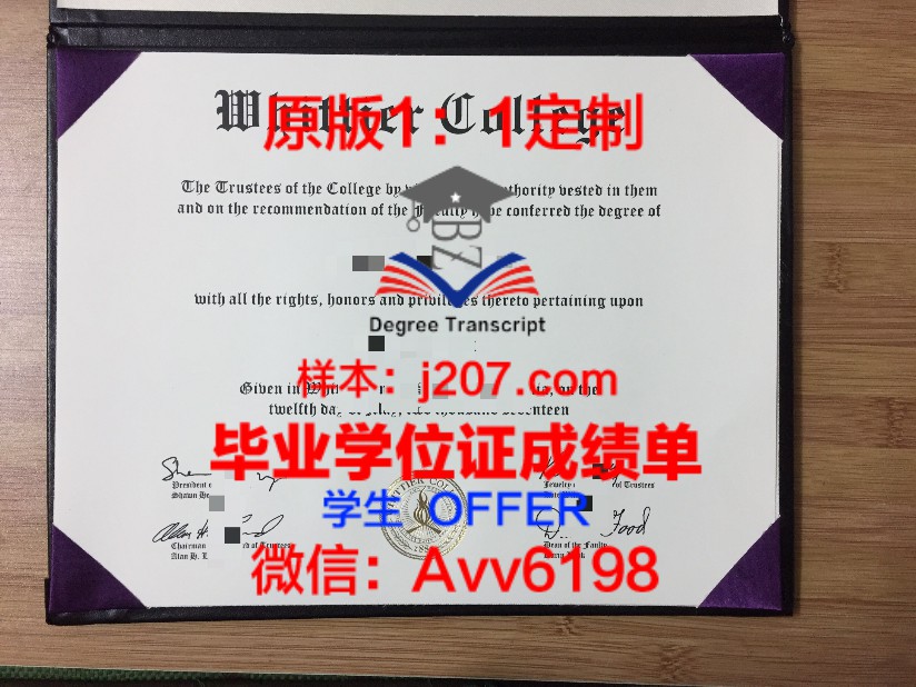 SlovakTech本科学位证:开启国际职场大门的钥匙