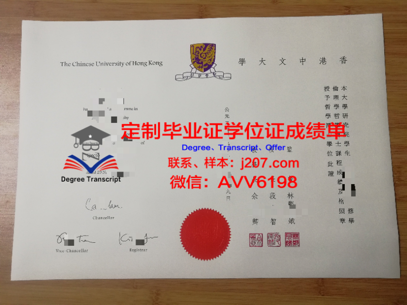 学位型博士与学术型博士:差异与定位