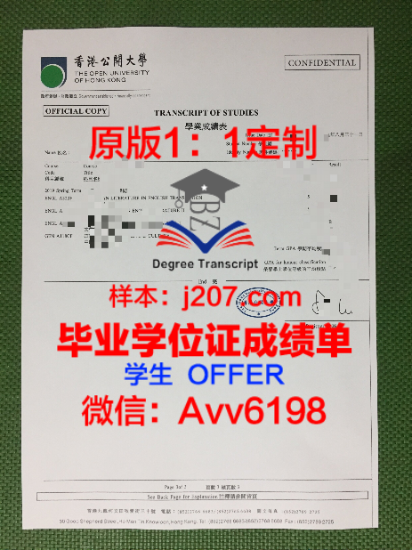 BSL大成绩单:解锁教育新篇章