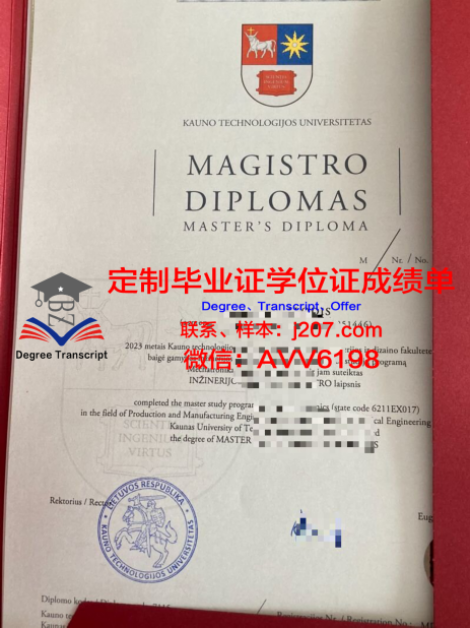 南院毕业证定制:承载荣誉与记忆的匠心之作