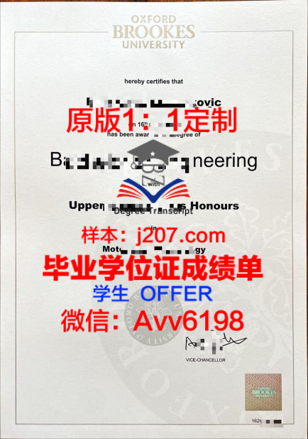 南佛大本科学位证书图片高清:承载荣誉与梦想的见证