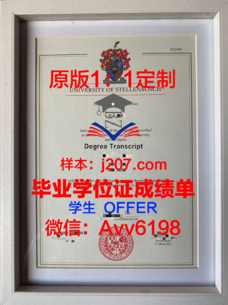 BraUni毕业证定制,打造独一无二的毕业纪念