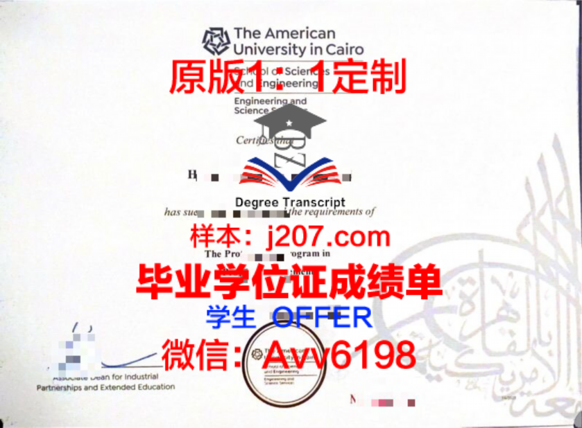 罗森海姆应用技术大学学位证定制:彰显学术品质,承载荣誉与梦想