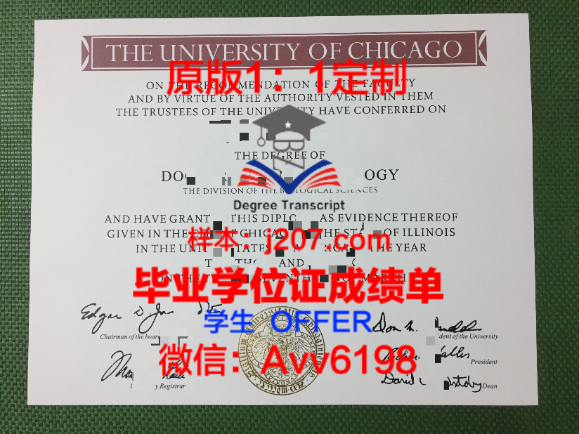 纽约市立大学纽约市立技术学院学位成绩单定制:助力留学梦,实现人生价值