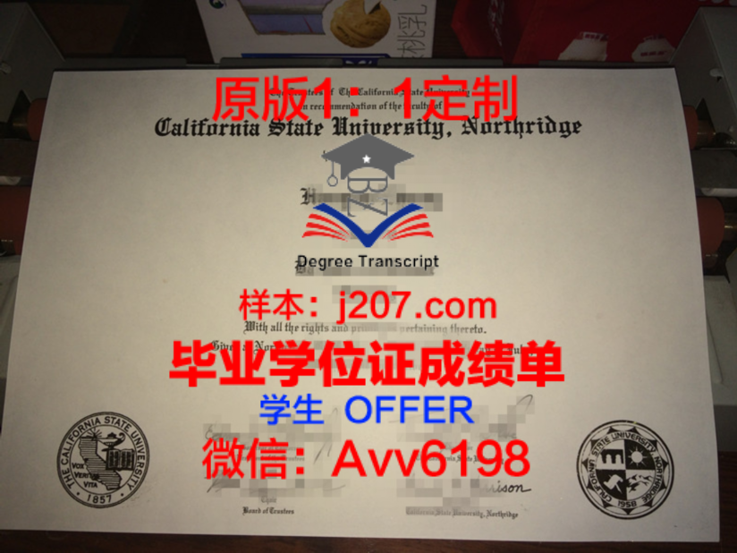 凯特大本科毕业证:承载荣誉与梦想的证书