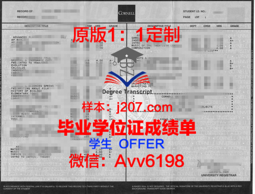 费萨大本科学位证:开启国际化教育新篇章
