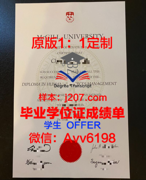 U of L学位证定制——荣誉与品质的象征